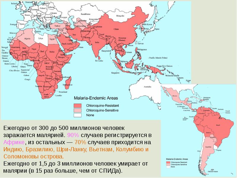 Медицинская протозоология презентация