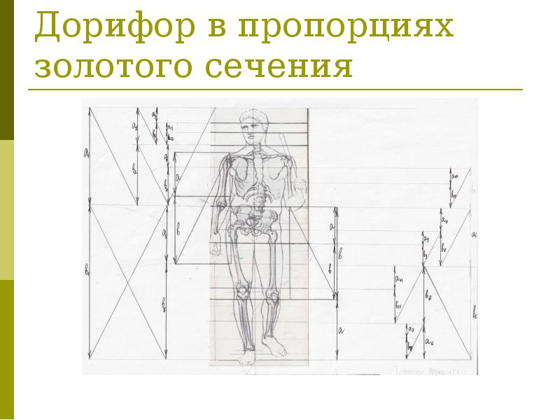 Золотое сечение бога