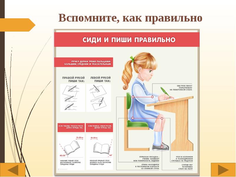 Сколько лет сидеть. Правильная осанка при письме. Как правильно сидеть. Правильная посадка школьника.