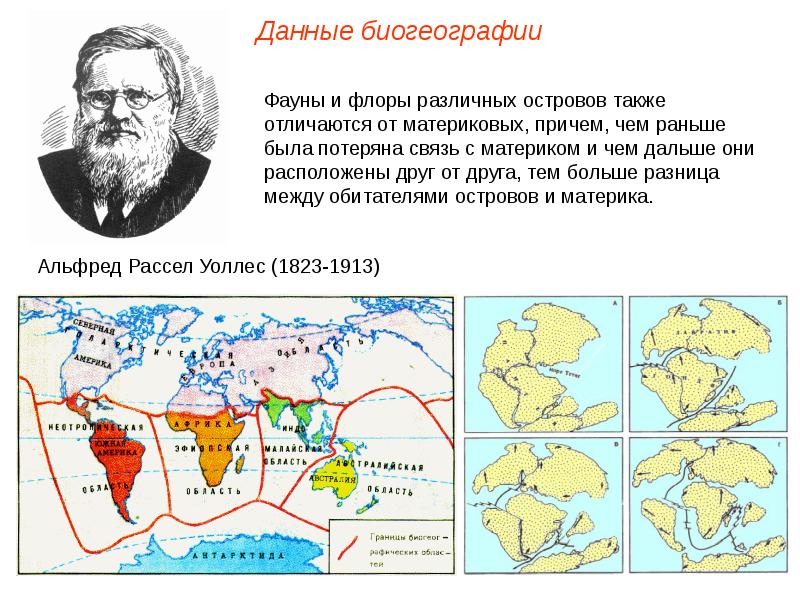 История развития эволюционных идей презентация 10 класс пономарева