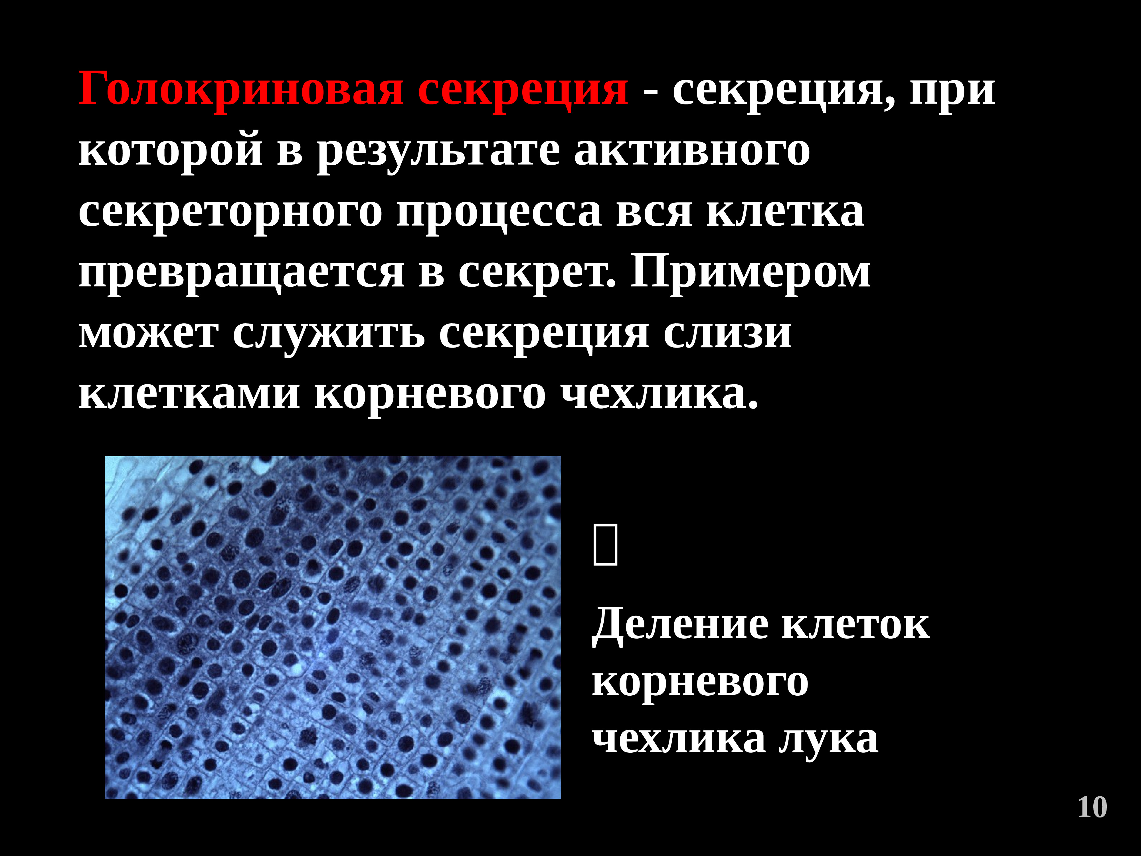 Выделяется вещество. Голокриновая секреция. Голокриновый способ секреции. Голокринловые способ секреции. Способы выделения секрета.