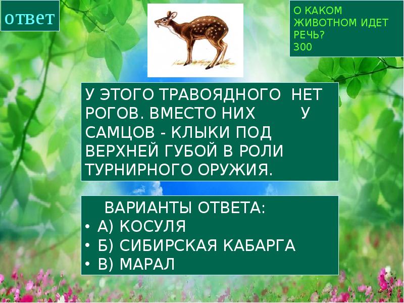 О каких животных идет речь в тексте. О каком животном идет речь. о какой группе животных идет речь. какого зверя полезна железа?. какие есть фонда для животных.