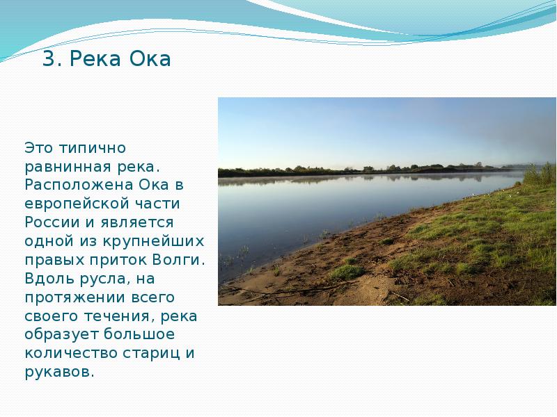 Река ока 4 класс. Река Ока приток Волги. Части реки Ока. Русло реки Ока. Река Ока географическое положение.