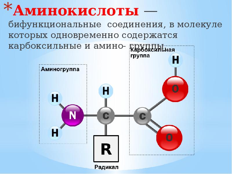 Строение аминокислоты схема