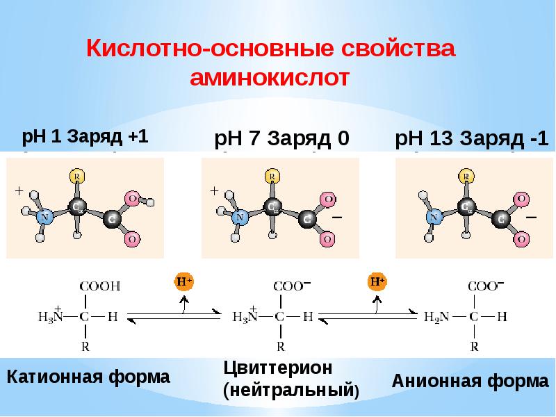 Презентация аминокислоты и белки 9 класс химия