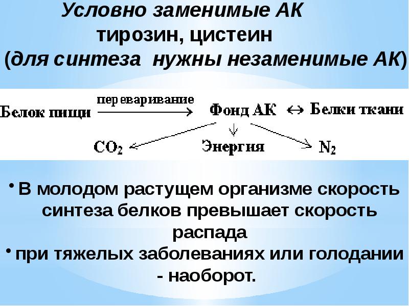 Презентация аминокислоты белки 9 класс габриелян