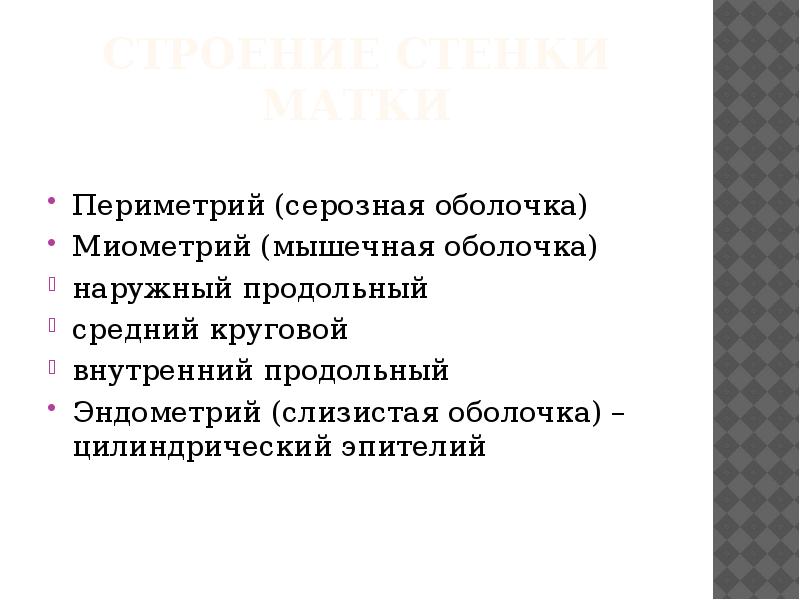 Миометрий тонус по задней стенке