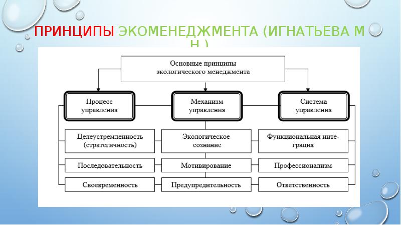 Презентация экологический менеджмент на предприятии