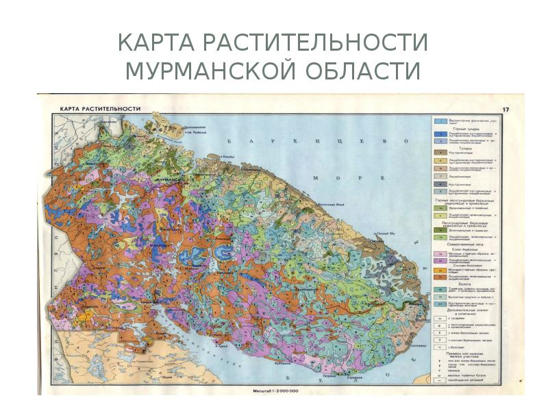 Карта растительности свердловской области