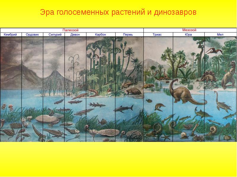 Презентация на тему мезозойская эра