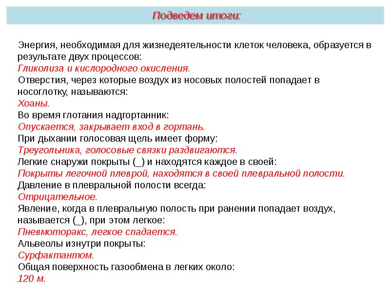 Дыхательная система презентация пименов