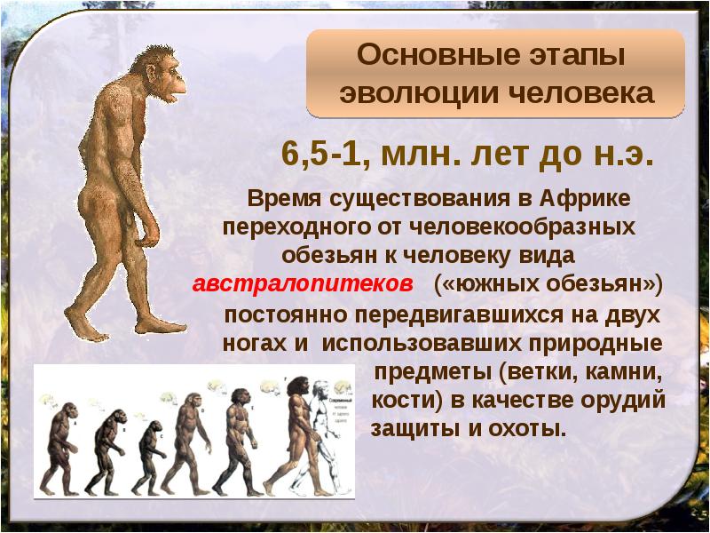 Направления эволюции человека. Стадии развития человека. Основные этапы эволюции человека. Стадии развития человечества. Все этапы развития человека.