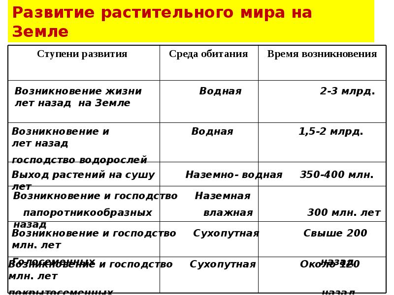 Эволюция растительного мира на земле презентация