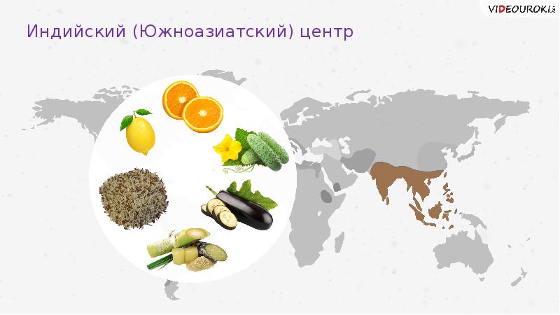 Основы селекции и биотехнологии презентация