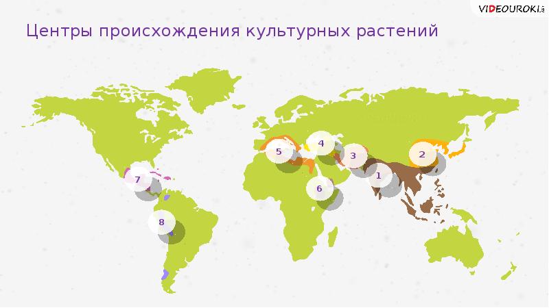 Методы селекции растений центры происхождения культурных растений презентация