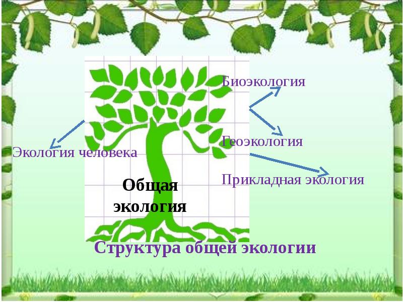 Социальная экология. Социальная экология презентация. Социальная экология темы. Теория социальной экологии. Экология человека и социальная экология.