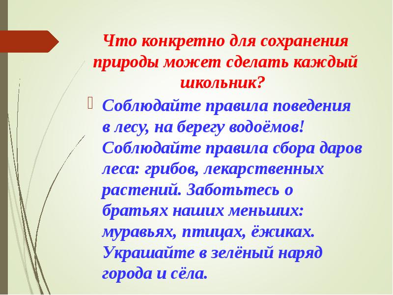 Что конкретно для сохранения природы может сделать каждый школьник? Соблюдайте