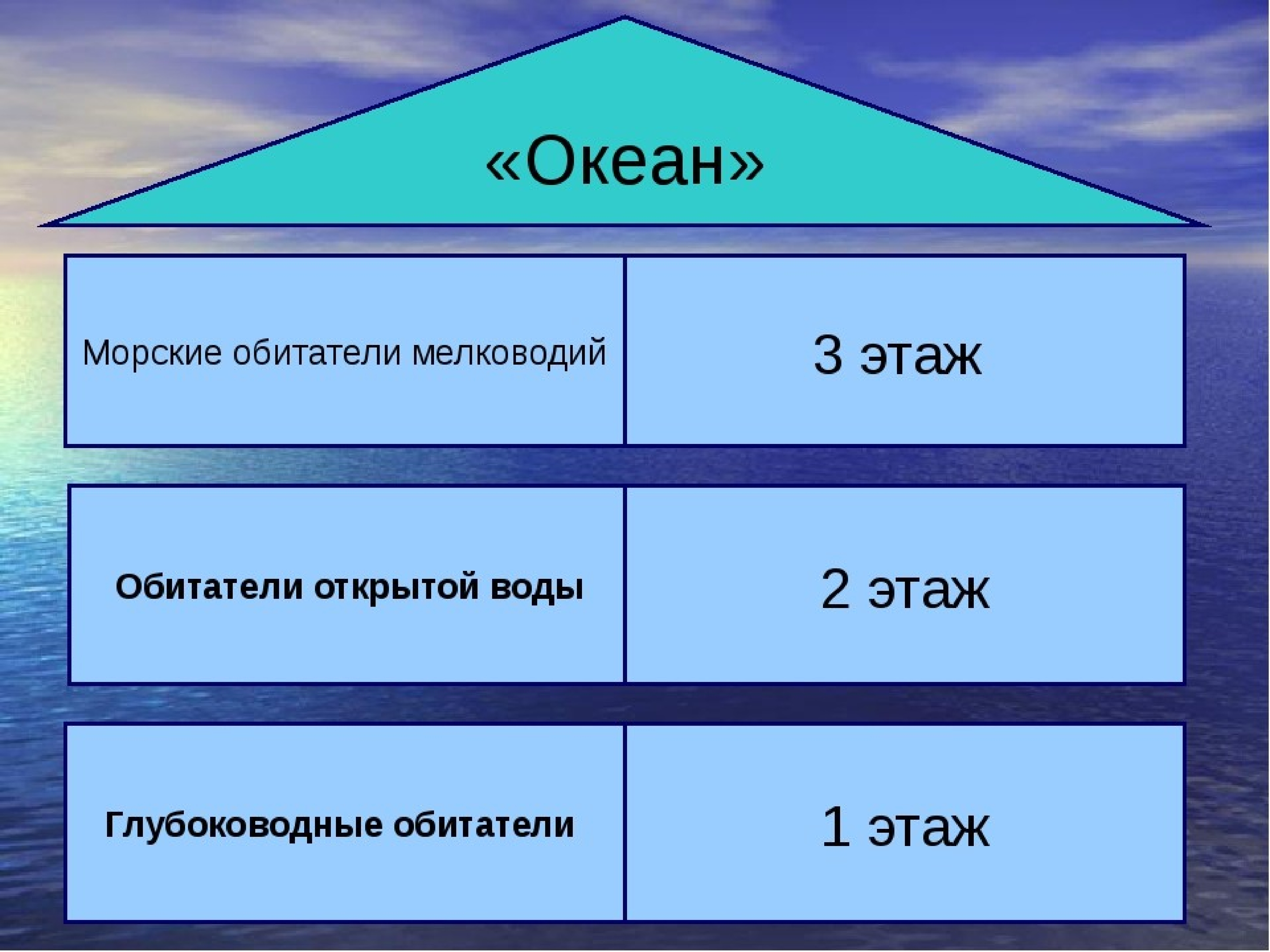 Рисунок жизнь в океане по географии 6 класс