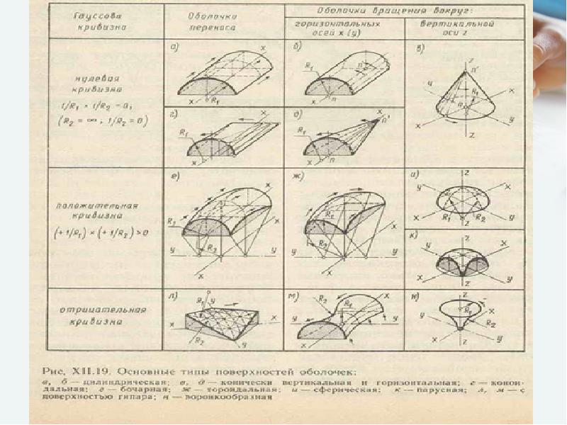 Оболочка вращения положительной гауссовой кривизны рисунок