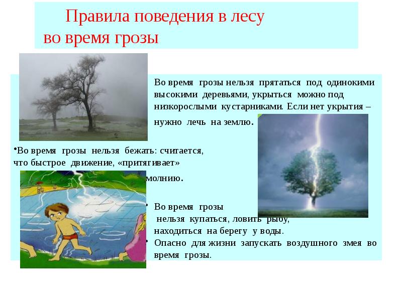 Почему время нельзя. Правила поведения при грозе в лесу. Во время грозы нельзя. Что нельзя делать во время грозы. Гроза в лесу правила поведения.