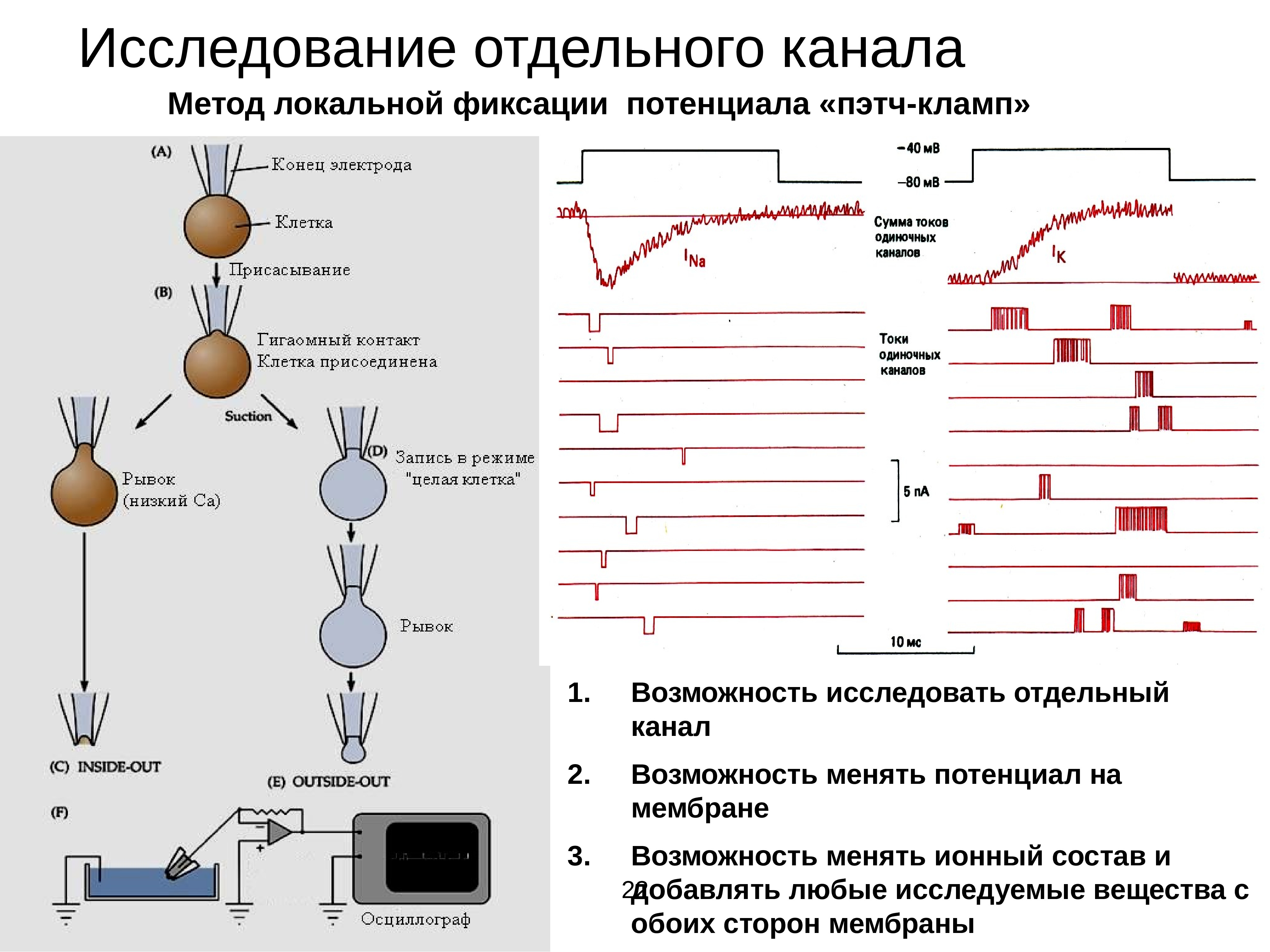 Исследование потенциала. Методы исследования возбудимых тканей. Методы исследования возбудимых тканей физиология. Метод Пэтч кламп. Физиология возбудимых тканей методичка.