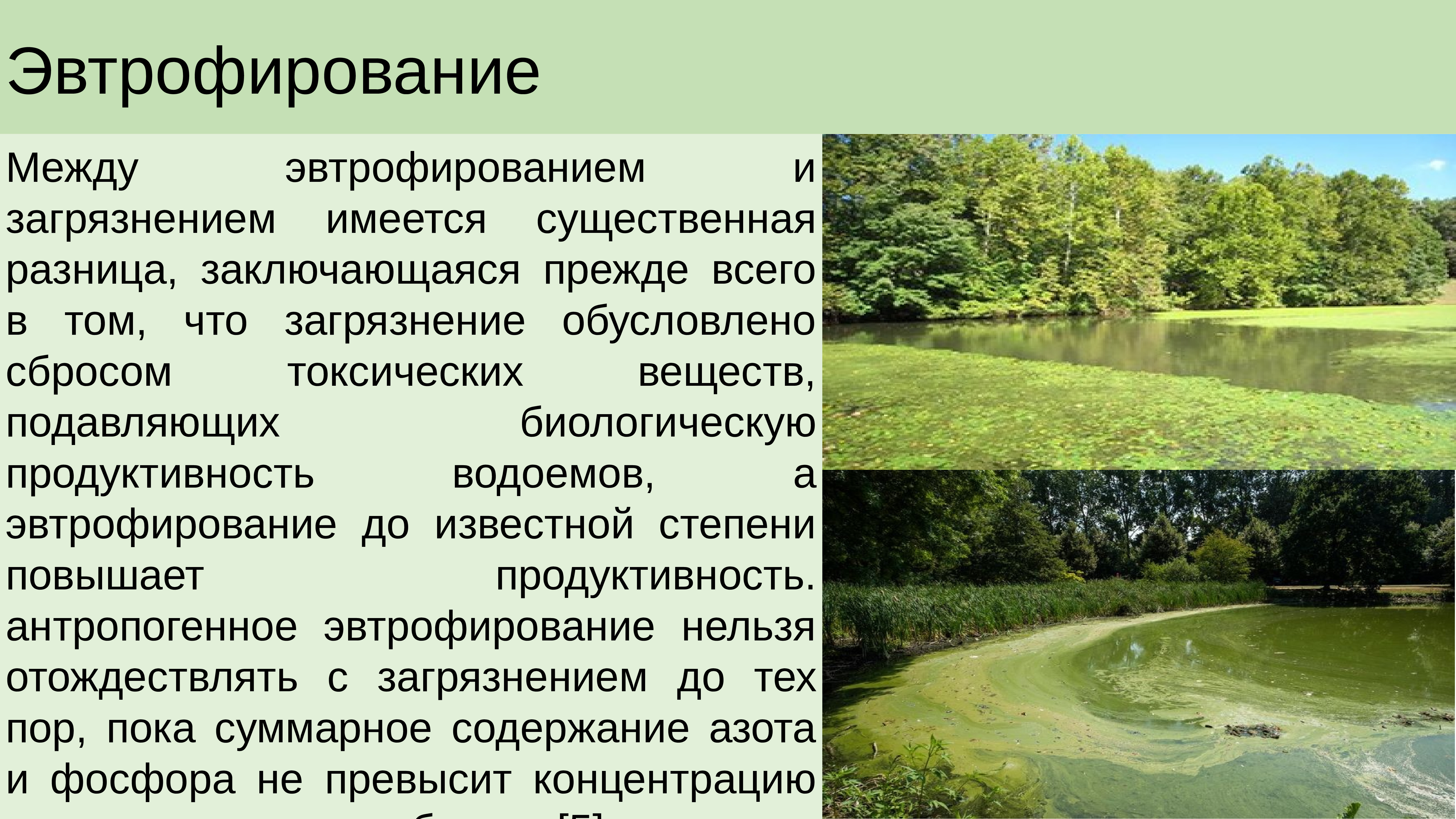 В течение летних. Антропогенное эвтрофирование водоемов. Эвтрофирование водоемов презентация. Эвтрофирование водоемов обусловлено. Борьба с эвтрофированием.