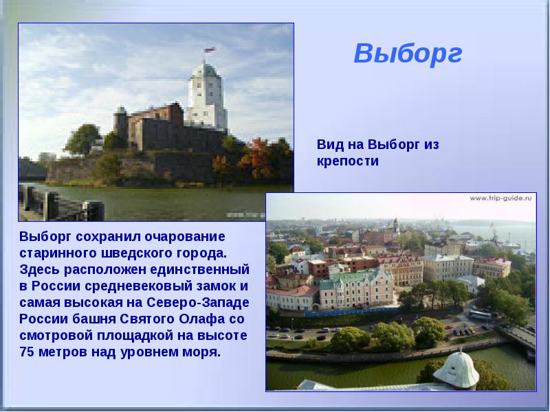 Экскурсия по дворцам пригородов петербурга презентация 8 класс