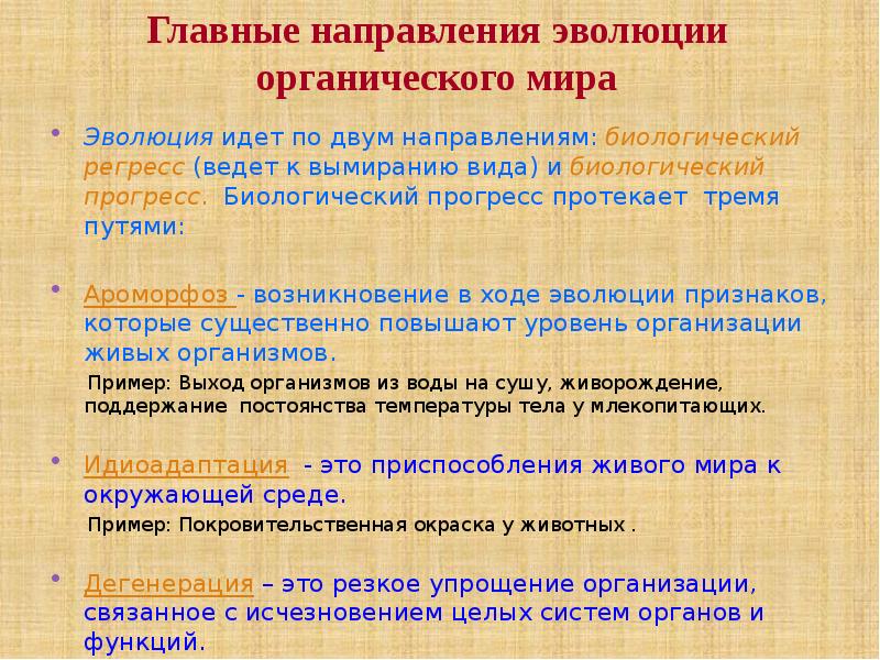 Основные этапы эволюции органического мира на земле презентация 11 класс