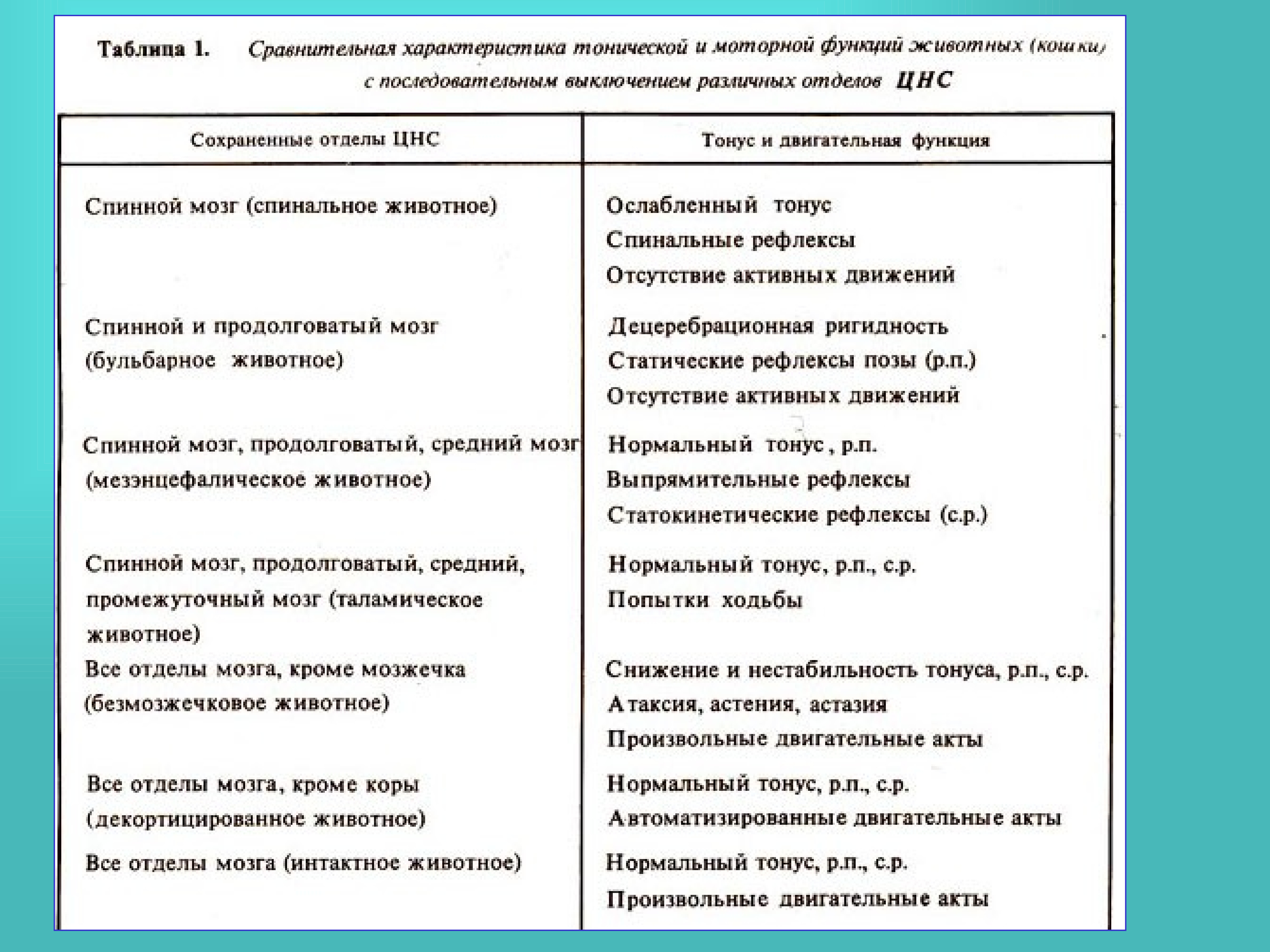 Функции мозга таблица. Сегменты спинного мозга рефлекторная функция таблица. Сегменты спинного мозга и их рефлекторная функция таблица. Спинной мозг отделы и функции таблица. Заполните таблицу сегменты спинного мозга рефлекторная функция.