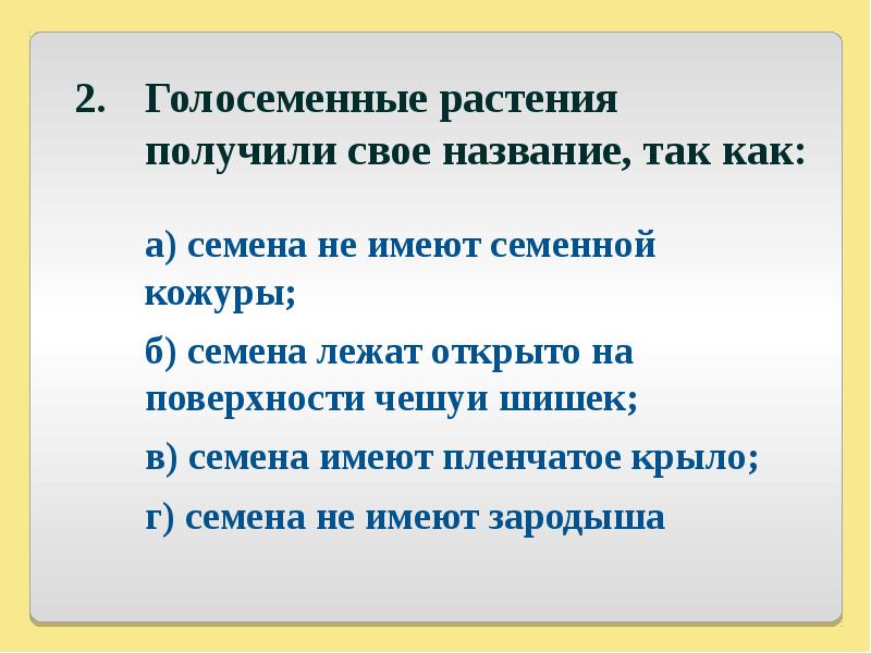 Составить план рассказа о древних голосеменных растениях