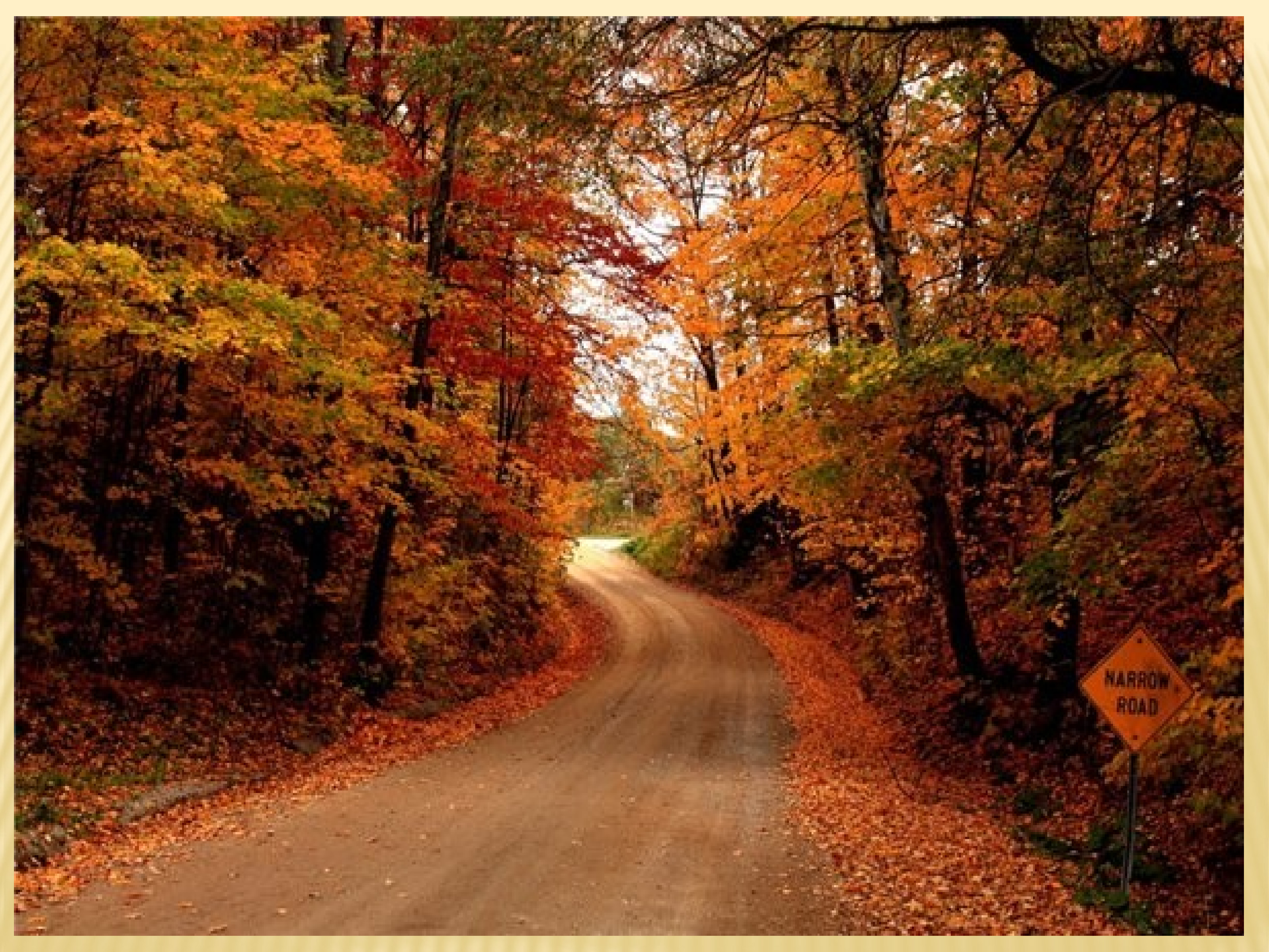 Fall pictures. Осень. Пейзаж дорога. Дорога в лесу. Осенний лес.