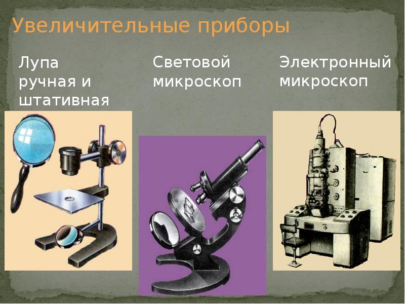 Презентация на тему увеличительные приборы 5 класс