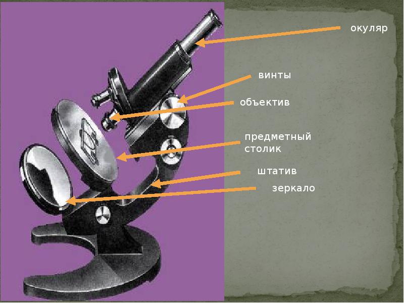 Презентация увеличительные приборы