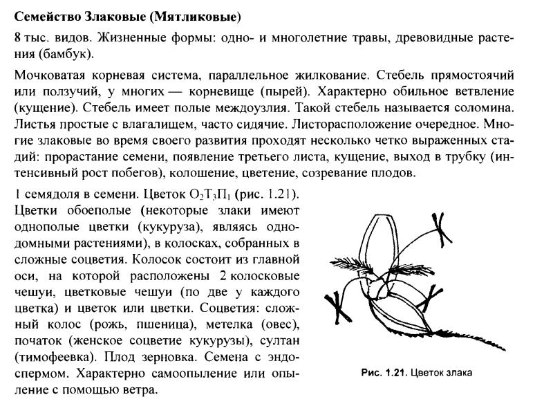 Ботаника презентация для егэ