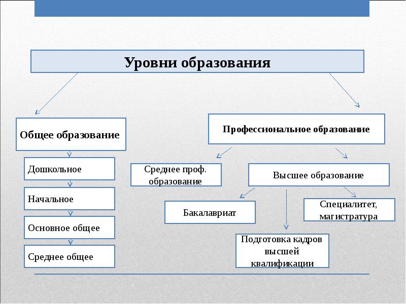 Восполните пробел в приведенной ниже схеме в рф дошкольное общее профессиональное