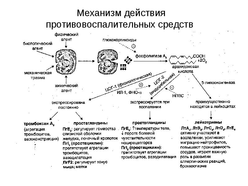 Нпвс схема действия