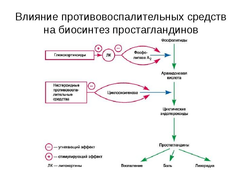 Механизм анальгетиков. Препараты простагландинов механизм действия. Механизм анальгетического действия ненаркотических анальгетиков. Механизм действия ненаркотических анальгетиков и НПВС схема. Простагландин е2 механизм действия.