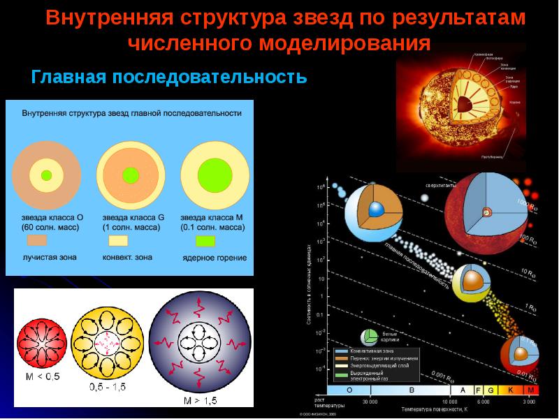 Результаты звезда по русскому. Строение звезд. Главная последовательность звезд. Внутренняя структура звезд главной последовательности. Строение звезды астрономия.