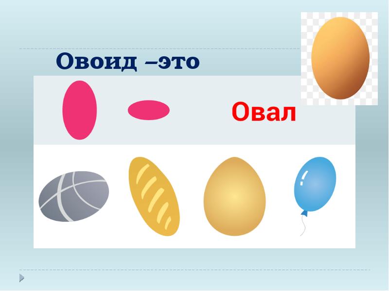 Овоид –это Овоид –это