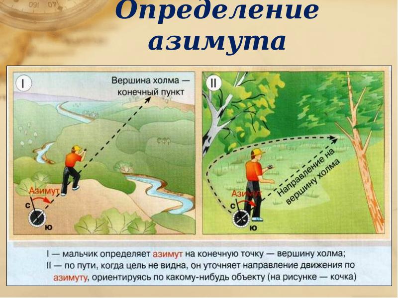 Ориентирование на местности презентация