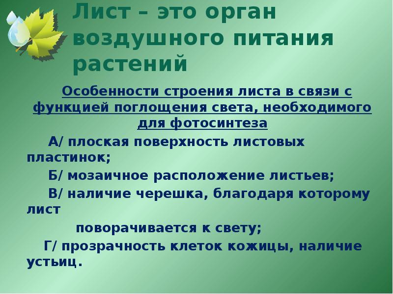 Растения называют органом воздушного питания