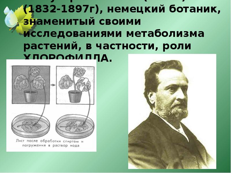Выдающийся ботаник. Выдающийся ботаник