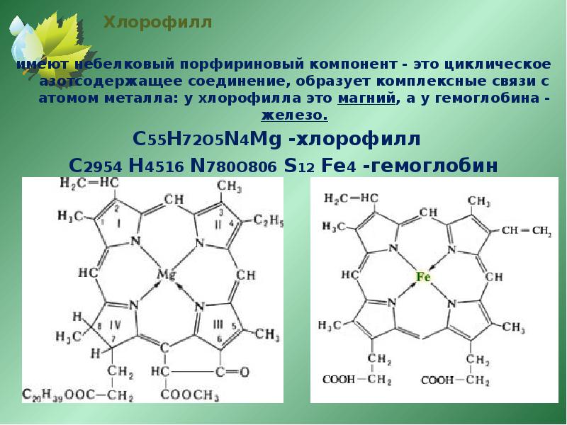 Порфириновая болезнь