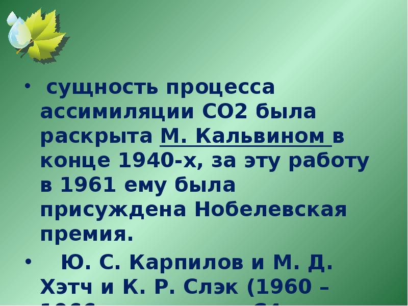 известно что 50 м2 зеленого леса поглощает. биологические задачи. леса легкие планеты. легкие планеты доклад. значение леса в природе.