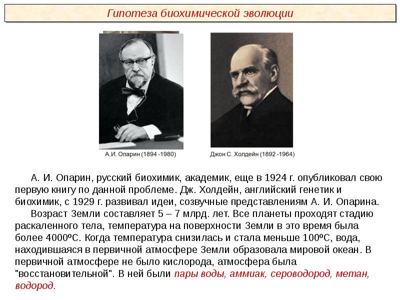 Направления эволюции презентация пименов