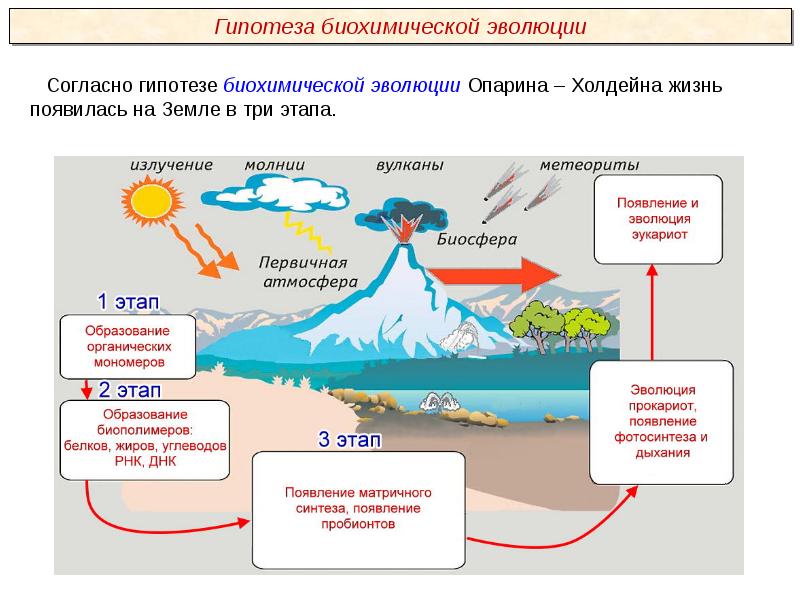 Абиогенное зарождение жизни презентация