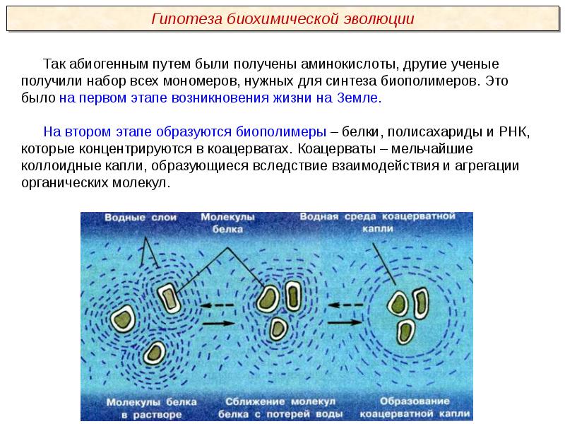 Абиогенное зарождение жизни презентация