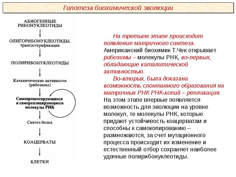 Развитие представлений о происхождении жизни современное состояние проблемы презентация