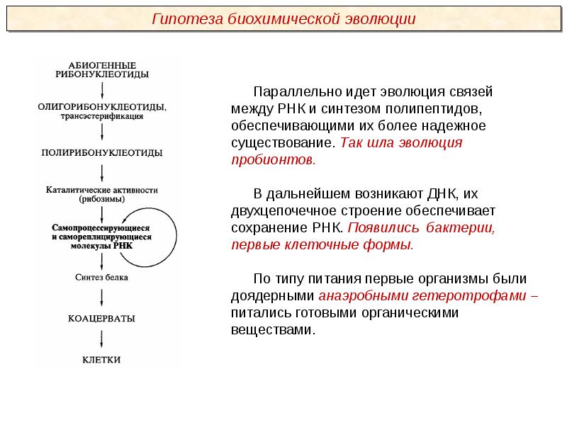 Развитие представлений о происхождении жизни презентация