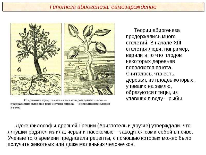 Гипотеза самозарождения жизни на земле презентация